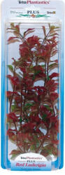 Tetra Ludwigia repens ( Red Ludwigia) - növény Tetra 23 cm, M - INVITALpet