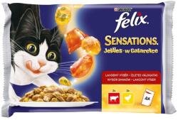 FELIX Sensations - Ízletes válogatás zselében (Marha és Csirke) 4 x 85 g 0.34 kg