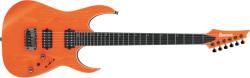 Ibanez RGR5221TFR