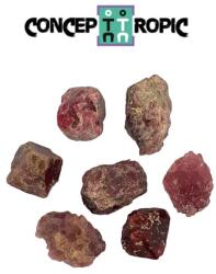 Cristal Natural Spinel Rosu Burma Brut - 11-16 x 7-11 mm - 1 Buc