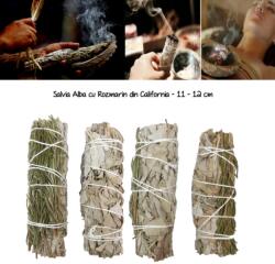 Salvie Alba cu Rozmarin din California - 11 - 12 cm - 1 Buc