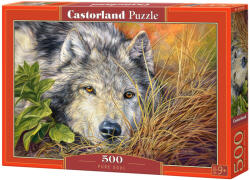 Castorland Puzzle Castorland din 500 de piese - Suflet curat (B-53285)