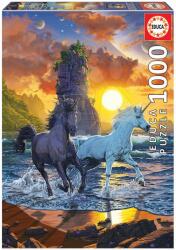 Educa Puzzle Unicorns On Beach Vincent Hie Educa 1000 piese și lipici Fix de la 11 ani (EDU19025) Puzzle