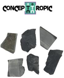 Mineral Natural Shungit Rusia Brut 22-41 x 21-25 mm - ( XL ) - 1 Buc