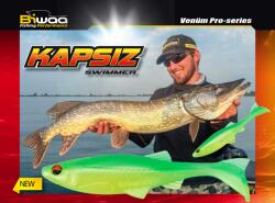 Biwaa SHAD KAPSIZ 5 12.7cm 206 Golden Shiner