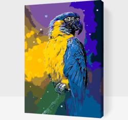  Festés számok szerint - Papagáj Méret: 40x60cm, Keretezés: Keret nélkül (csak a vászon)