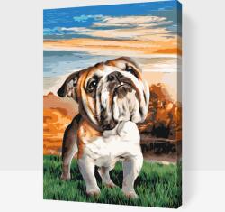  Festés számok szerint - Angol bulldog a kertben Méret: 40x60cm, Keretezés: Keret nélkül (csak a vászon)