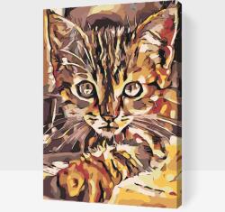  Festés számok szerint - Kíváncsiskodó cicus Méret: 40x60cm, Keretezés: Keret nélkül (csak a vászon)