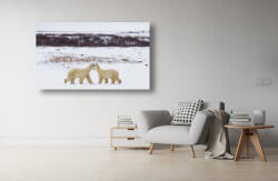 Persona Tablou Canvas - Ursii polari jucausi - tapet-canvas - 70,00 RON