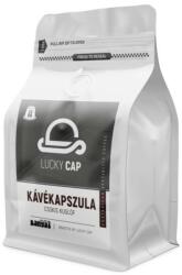Lucky Cap Roastery Bányai Csokis Kuglóf (20)