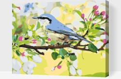  Festés számok szerint - Tavaszi madár Méret: 40x50cm, Keretezés: Keret nélkül (csak a vászon)