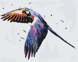 Festés számok szerint - Repülő papagáj Méret: 40x50cm, Keretezés: Keret nélkül (csak a vászon)