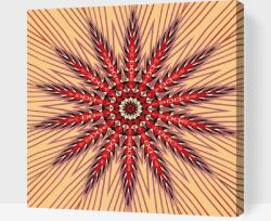  Festés számok szerint - Mandala 5 Méret: 50x50cm, Keretezés: Keret nélkül (csak a vászon)