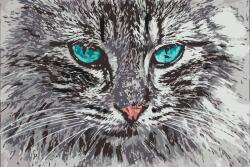  Festés számok szerint - Cica Méret: 40x60cm, Keretezés: Keret nélkül (csak a vászon)
