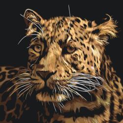 Festés számok szerint - Jaguár Méret: 50x50cm, Keretezés: Keret nélkül (csak a vászon)