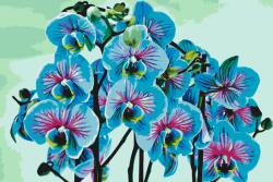 Festés számok szerint - Kék orchidea Méret: 40x60cm, Keretezés: Keret nélkül (csak a vászon)