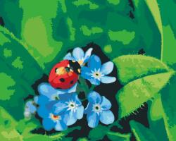  Festés számok szerint - Katica kék virágon Méret: 40x50cm, Keretezés: Keret nélkül (csak a vászon)