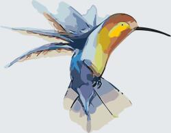 Festés számok szerint - Kolibri Méret: 50x50cm, Keretezés: Keret nélkül (csak a vászon)