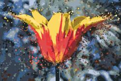  Festés számok szerint - Virágzó tulipán Méret: 40x60cm, Keretezés: Keret nélkül (csak a vászon)