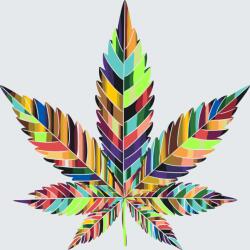 Festés számok szerint - Kannabisz Méret: 50x50cm, Keretezés: Keret nélkül (csak a vászon)