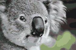 Festés számok szerint - Koala Méret: 40x60cm, Keretezés: Keret nélkül (csak a vászon)