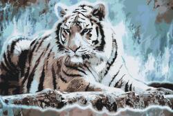  Festés számok szerint - Bengáli tigris Méret: 40x60cm, Keretezés: Keret nélkül (csak a vászon)