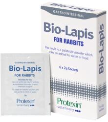  Protexin Bio-lapis por 6 x 2 g