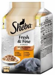 Sheba 6 x 50 g Sheba Fresh & Fine multipack - finom változatosság