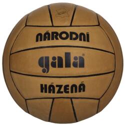 Select Minge handbal Gala BH3012L (4341)
