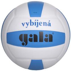 Gala Minge handbal Gala BV4061S (BV4061S)