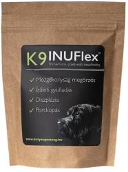 K9 Pudră K9 InuFlex 220 g