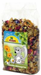 Grădină de flori JR Farm pentru chinchilla 50 g