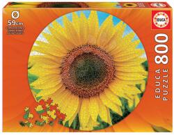 Educa Puzzle Sunflower Round Educa 800 darabos és Fix ragasztó 11 évtől (19034)