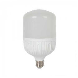V-TAC Bec led 24W, T100, 4500k (15836-)