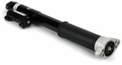 Arnott amortizor Arnott SK-3389 (SK-3389) - automobilus
