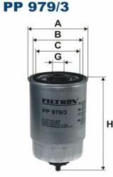 FILTRON filtru combustibil FILTRON PP 979/3 (PP 979/3) - automobilus