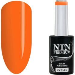 NTN Premium UV/LED 162# (kifutó szín)