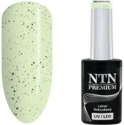 NTN Premium UV/LED 184# (kifutó szín)