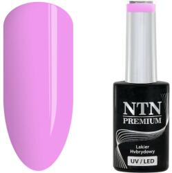 NTN Premium UV/LED 175#