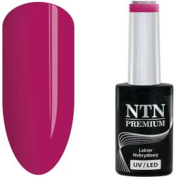 NTN Premium UV/LED 171# (kifutó szín)