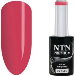 NTN Premium UV/LED 165#