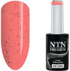 NTN Premium UV/LED 187# (kifutó szín)