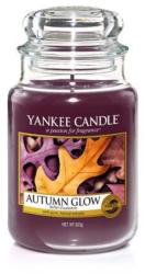 Yankee Candle Autumn Glow 623 g