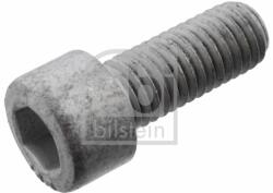 Febi Bilstein surub ax, cardan FEBI BILSTEIN 101234 (101234)