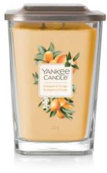 Yankee Candle Kumquat & Orange 552 g