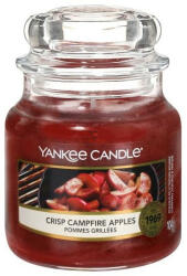 Yankee Candle Crisp Campfire Apple 104 g