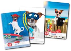 Herlitz Caiet A5, 48 file, dictando, colturi rotunjite, motiv Cool Dog, diverse modele HZ9480640 (9480640)