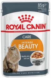 Royal Canin Royal Canin Hair & Skin Care în gelatină Hrană umedă - 24 x 85 g