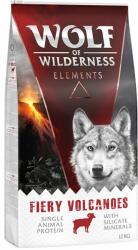 Wolf of Wilderness Wolf of Wilderness Pachet economic "Elements" 2 x 12 kg - Fiery Volcanoes Miel
