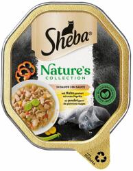 Sheba Sheba Pachet economic Nature´s Collection în sos 44 x 85 g - Pui
